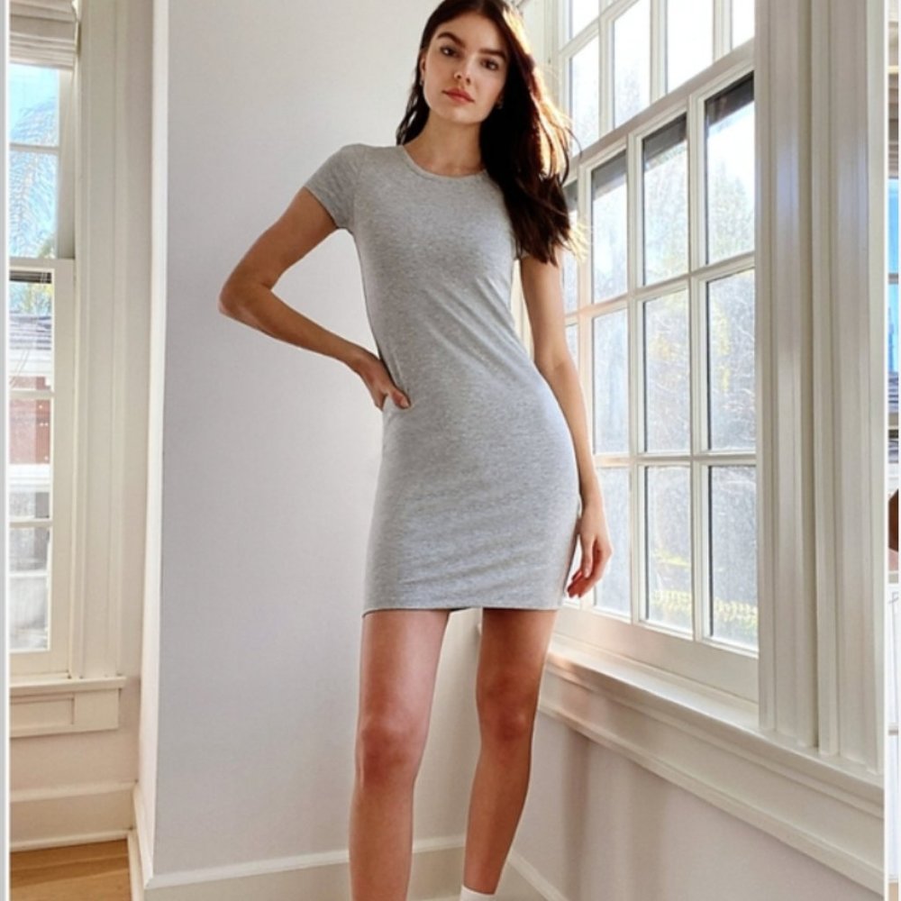 Aritzia Wilfred Free T-shirt Dress, grey, small